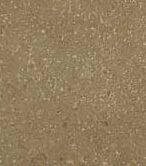 IMG 20250204 WA0055 e1745208727436