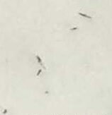 IMG 20250204 WA0121 e1745381938277