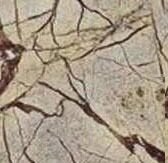 IMG 20250204 WA0128 e1745381606707