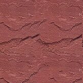 IMG 20250204 WA0255 e1745387751438