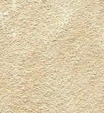 IMG 20250204 WA0261 e1745387840336