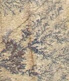 IMG 20250204 WA0267 e1745388112450