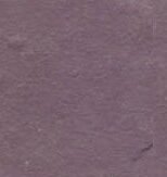 IMG 20250204 WA0279 e1745474078522