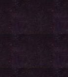 IMG 20250204 WA0285 e1745815129962