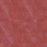 IMG 20250204 WA0303 e1745474329342