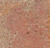 IMG 20250204 WA0312 e1745474098726