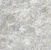 IMG 20250204 WA0318 e1745473320325