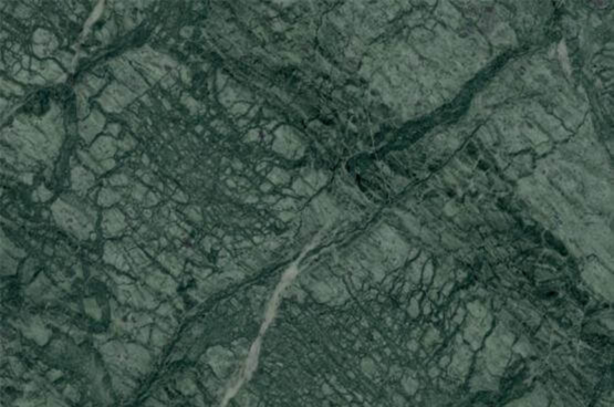 FOREST GREEN 0200 e1745381995765