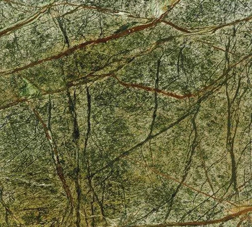 RAINFOREST GREEN e1745381676486