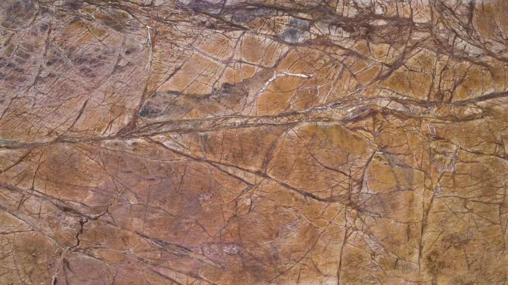 marble Rainforest Brown luVLFIG0czZQujUQa5vZ granite export India Meenysa Neil